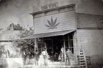 Hawaii cannabis history