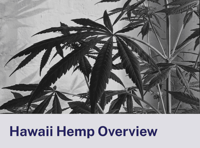 Hawaii Hemp Overview.png